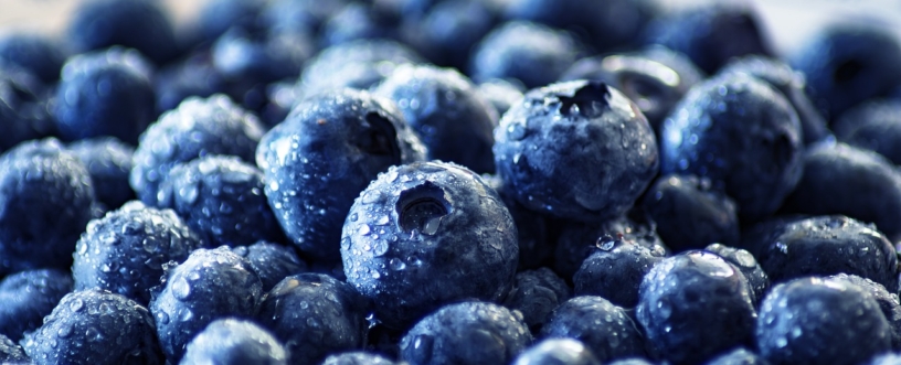 blueberries, fruit, healthy, nutrition, food, fresh, vitamins, berries, blueberries, blueberries, blueberries, blueberries, blueberries, fruit, fruit