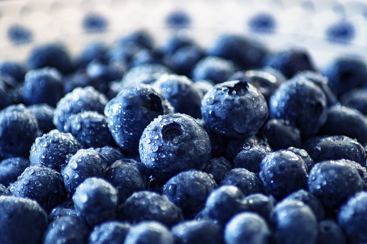 blueberries, fruit, healthy, nutrition, food, fresh, vitamins, berries, blueberries, blueberries, blueberries, blueberries, blueberries, fruit, fruit