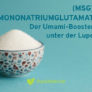 Mononatriumglutamat – Der Umami-Booster unter der Lupe 🔍