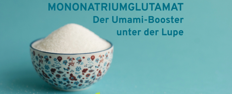 Mononatriumglutamat (MSG)