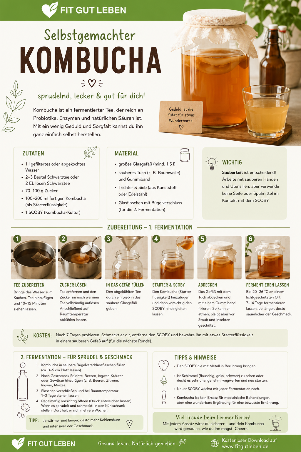 Kombucha Anleitung – Schritt für Schritt Infografik von fitgutleben.de